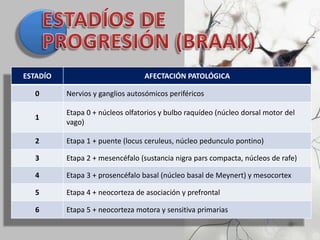 ESTADÍO AFECTACIÓN PATOLÓGICA
0 Nervios y ganglios autosómicos periféricos
1
Etapa 0 + núcleos olfatorios y bulbo raquídeo (núcleo dorsal motor del
vago)
2 Etapa 1 + puente (locus ceruleus, núcleo pedunculo pontino)
3 Etapa 2 + mesencéfalo (sustancia nigra pars compacta, núcleos de rafe)
4 Etapa 3 + prosencéfalo basal (núcleo basal de Meynert) y mesocortex
5 Etapa 4 + neocorteza de asociación y prefrontal
6 Etapa 5 + neocorteza motora y sensitiva primarias
 