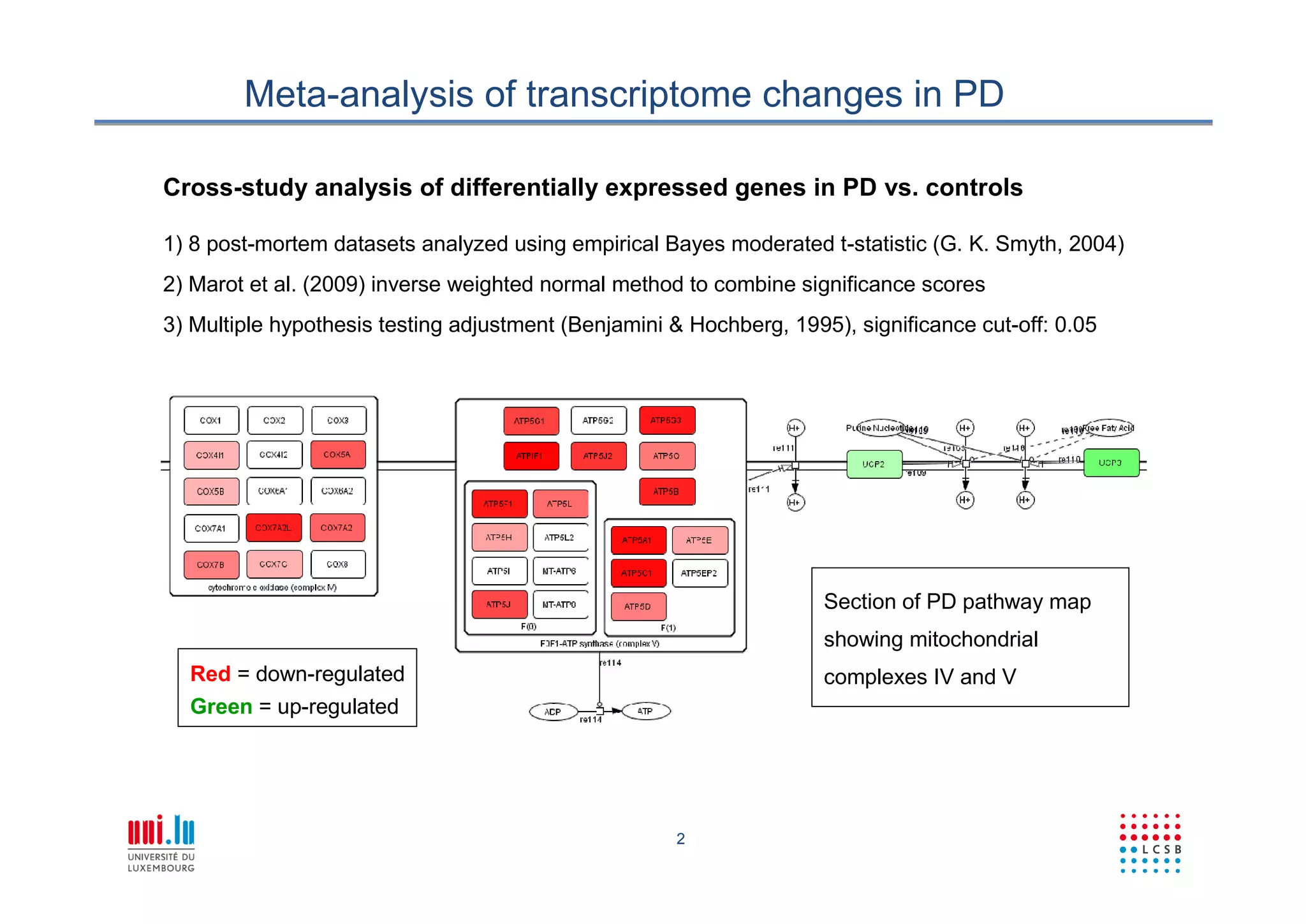 2
Meta-analysis of transcriptome changes in PD
Cross-study analysis of differentially expressed genes in PD vs. controls
1) 8 post-mortem datasets analyzed using empirical Bayes moderated t-statistic (G. K. Smyth, 2004)
2) Marot et al. (2009) inverse weighted normal method to combine significance scores
3) Multiple hypothesis testing adjustment (Benjamini & Hochberg, 1995), significance cut-off: 0.05
Section of PD pathway map
showing mitochondrial
complexes IV and VRed = down-regulated
Green = up-regulated
 