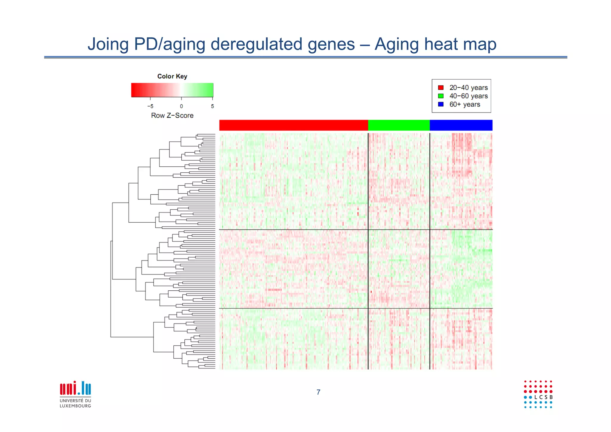 7
Joing PD/aging deregulated genes – Aging heat map
 
