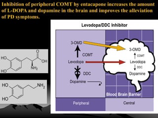 Inhibition of peripheral COMT by entacapone increases the amount
of L-DOPA and dopamine in the brain and improves the alleviation
of PD symptoms.
 