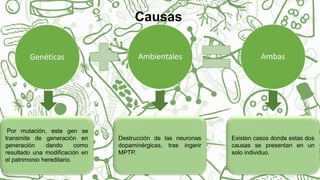 Causas
Genéticas Ambientales Ambas
Por mutación, este gen se
transmite de generación en
generación dando como
resultado una modificación en
el patrimonio hereditario.
Destrucción de las neuronas
dopaminérgicas, tras ingerir
MPTP.
Existen casos donde estas dos
causas se presentan en un
solo individuo.
 