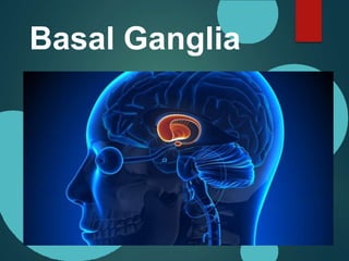 Basal Ganglia
 