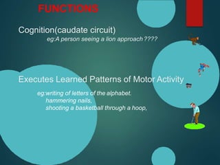 Cognition(caudate circuit)
eg:A person seeing a lion approach ????
FUNCTIONS
Executes Learned Patterns of Motor Activity
eg:writing of letters of the alphabet.
hammering nails,
shooting a basketball through a hoop,
 