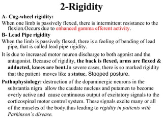 2-Rigidity
A- Cog-wheel rigidity:
When one limb is passively flexed, there is intermittent resistance to the
flexion.Occurs due to enhanced gamma efferent activity.
B- Lead Pipe rigidity
When the limb is passively flexed, there is a feeling of bending of lead
pipe, that is called lead pipe rigidity.
It is due to increased motor neuron discharge to both agonist and the
antagonist. Because of rigidity, the back is flexed, arms are flexed &
adducted, knees are bent.In severe cases, there is so marked rigidity
that the patient moves like a statue. Stooped posture.
Pathophysiology: destruction of the dopaminergic neurons in the
substantia nigra allow the caudate nucleus and putamen to become
overly active and cause continuous output of excitatory signals to the
corticospinal motor control system. These signals excite many or all
of the muscles of the body,thus leading to rigidity in patients with
Parkinson’s disease.
 