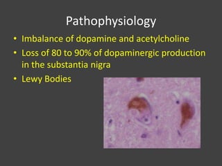 Pathophysiology
• Imbalance of dopamine and acetylcholine
• Loss of 80 to 90% of dopaminergic production
in the substantia nigra
• Lewy Bodies
 