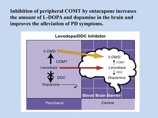 Inhibition of peripheral COMT by entacapone increases
the amount of L-DOPA and dopamine in the brain and
improves the alleviation of PD symptoms.
 