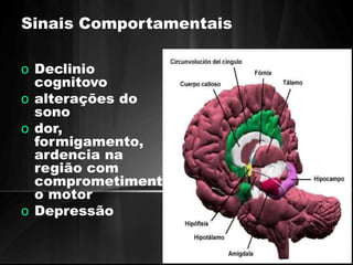 Sinais Comportamentais 
o Declinio 
cognitovo 
o alterações do 
sono 
o dor, 
formigamento, 
ardencia na 
região com 
comprometiment 
o motor 
o Depressão 
 