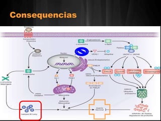 Consequencias 
 