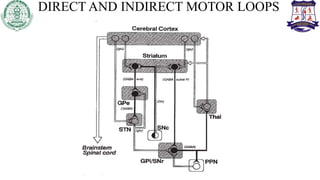 DIRECT AND INDIRECT MOTOR LOOPS
 