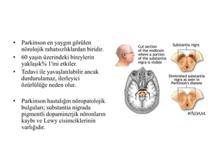 • Parkinson en yaygın görülen
nörolojik rahatsızlıklardan biridir.
• 60 yaşın üzerindeki bireylerin
yaklaşık% 1'ini etkiler.
• Tedavi ile yavaşlatılabilir ancak
durdurulamaz, ilerleyici
özürlülüğe neden olur.
• Parkinson hastalığın nöropatolojik
bulguları; substantia nigrada
pigmentli dopaminerjik nöronların
kaybı ve Lewy cisimciklerinin
varlığıdır.
 