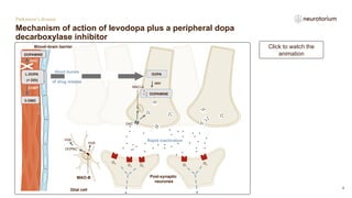 Parkinsons-Disease-Treatment-Principles.pptx.pptx