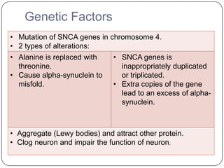 Genetic Factors
• Mutation of SNCA genes in chromosome 4.
• 2 types of alterations:
• Alanine is replaced with
threonine.
• Cause alpha-synuclein to
misfold.
• SNCA genes is
inappropriately duplicated
or triplicated.
• Extra copies of the gene
lead to an excess of alpha-
synuclein.
• Aggregate (Lewy bodies) and attract other protein.
• Clog neuron and impair the function of neuron.
 
