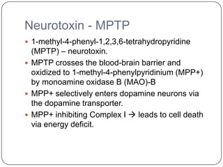 Neurotoxin - MPTP
 1-methyl-4-phenyl-1,2,3,6-tetrahydropyridine
(MPTP) – neurotoxin.
 MPTP crosses the blood-brain barrier and
oxidized to 1-methyl-4-phenylpyridinium (MPP+)
by monoamine oxidase B (MAO)-B
 MPP+ selectively enters dopamine neurons via
the dopamine transporter.
 MPP+ inhibiting Complex I  leads to cell death
via energy deficit.
 