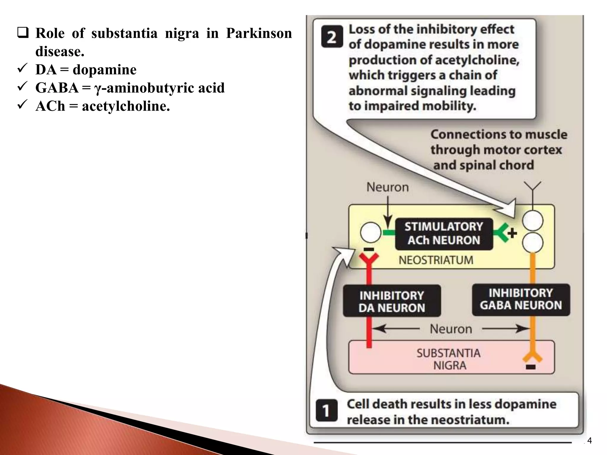 14
 Role of substantia nigra in Parkinson
disease.
 DA = dopamine
 GABA = γ-aminobutyric acid
 ACh = acetylcholine.
 