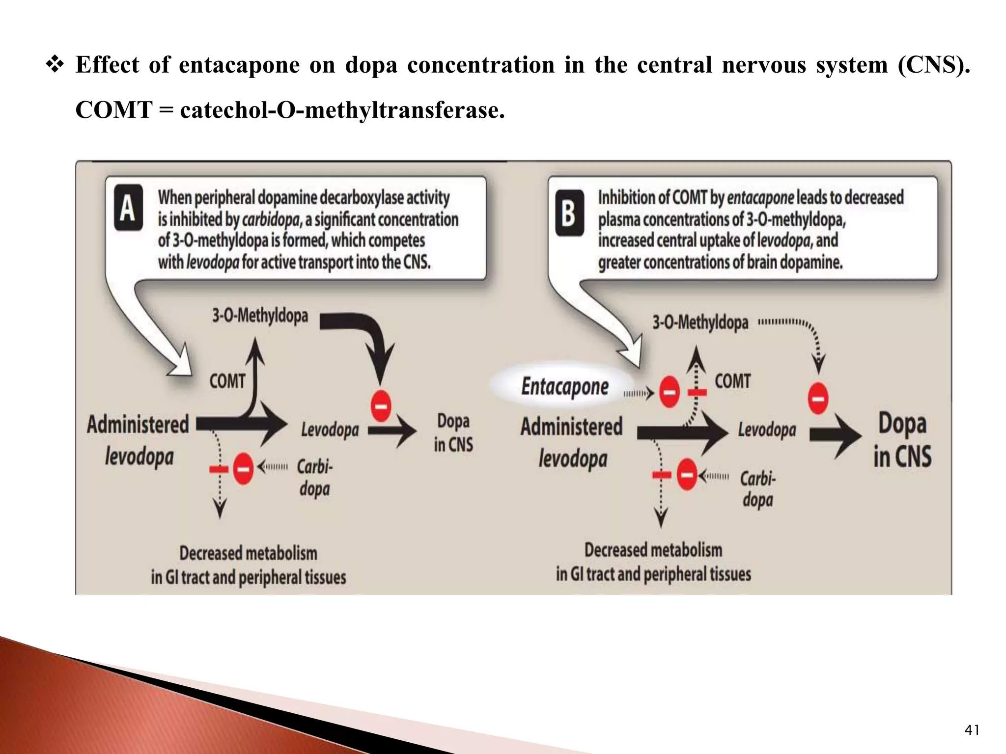 41
 Effect of entacapone on dopa concentration in the central nervous system (CNS).
COMT = catechol-O-methyltransferase.
 