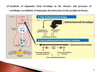 32
 Synthesis of dopamine from levodopa in the absence and presence of
carbidopa, an inhibitor of dopamine decarboxylase in the peripheral tissues.
 