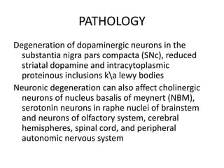 PATHOLOGY
Degeneration of dopaminergic neurons in the
substantia nigra pars compacta (SNc), reduced
striatal dopamine and intracytoplasmic
proteinous inclusions ka lewy bodies
Neuronic degeneration can also affect cholinergic
neurons of nucleus basalis of meynert (NBM),
serotonin neurons in raphe nuclei of brainstem
and neurons of olfactory system, cerebral
hemispheres, spinal cord, and peripheral
autonomic nervous system
 