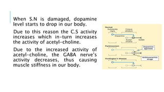 When S.N is damaged, dopamine
level starts to drop in our body.
Due to this reason the C.S activity
increases which in-turn increases
the activity of acetyl-choline.
Due to the increased activity of
acetyl-choline, the GABA nerve’s
activity decreases, thus causing
muscle stiffness in our body.
 