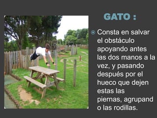 GATO :
 Consta en salvar
 el obstáculo
 apoyando antes
 las dos manos a la
 vez, y pasando
 después por el
 hueco que dejen
 estas las
 piernas, agrupand
 o las rodillas.
 