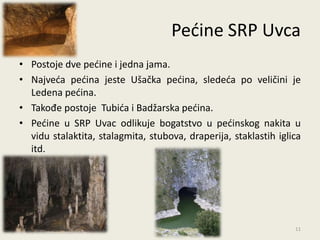 Pedine SRP Uvca
• Postoje dve pedine i jedna jama.
• Najveda pedina jeste Ušačka pedina, slededa po veličini je
  Ledena pedina.
• Takođe postoje Tubida i Badžarska pedina.
• Pedine u SRP Uvac odlikuje bogatstvo u pedinskog nakita u
  vidu stalaktita, stalagmita, stubova, draperija, staklastih iglica
  itd.




                                                                  11
 