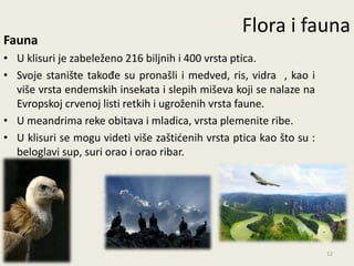 Flora i fauna
Fauna
• U klisuri je zabeleženo 216 biljnih i 400 vrsta ptica.
• Svoje stanište takođe su pronašli i medved, ris, vidra , kao i
  više vrsta endemskih insekata i slepih miševa koji se nalaze na
  Evropskoj crvenoj listi retkih i ugroženih vrsta faune.
• U meandrima reke obitava i mladica, vrsta plemenite ribe.
• U klisuri se mogu videti više zaštidenih vrsta ptica kao što su :
  beloglavi sup, suri orao i orao ribar.




                                                                      12
 