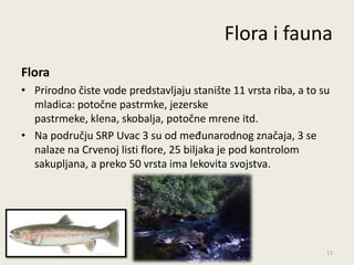 Flora i fauna
Flora
• Prirodno čiste vode predstavljaju stanište 11 vrsta riba, a to su
  mladica: potočne pastrmke, jezerske
  pastrmeke, klena, skobalja, potočne mrene itd.
• Na području SRP Uvac 3 su od međunarodnog značaja, 3 se
  nalaze na Crvenoj listi flore, 25 biljaka je pod kontrolom
  sakupljana, a preko 50 vrsta ima lekovita svojstva.




                                                                  13
 