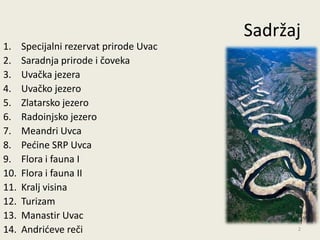 Sadržaj
1.    Specijalni rezervat prirode Uvac
2.    Saradnja prirode i čoveka
3.    Uvačka jezera
4.    Uvačko jezero
5.    Zlatarsko jezero
6.    Radoinjsko jezero
7.    Meandri Uvca
8.    Pedine SRP Uvca
9.    Flora i fauna I
10.   Flora i fauna II
11.   Kralj visina
12.   Turizam
13.   Manastir Uvac
14.   Andrideve reči                           2
 