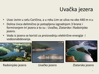 Uvačka jezera
• Uvac izvire u selu Caričina, a u reku Lim se uliva na oko 440 m n.v.
• Dolina Uvca delimično je potopljena izgradnjom 3 brane i
  formiranjem tri jezera a to su : Uvačko, Zlatarsko i Radoinjsko
  jezero.
• Voda iz jezera se koristi za proizvodnju električne energije i
  vodosnabdevanja.




Radoinjsko jezero          Uvačko jezero              Zlatarsko jezero
                                                                    6
 