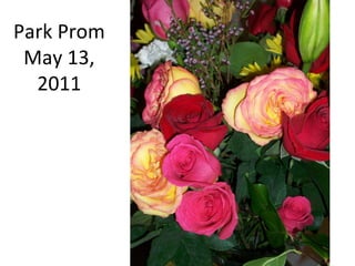 Park Prom May 13, 2011 