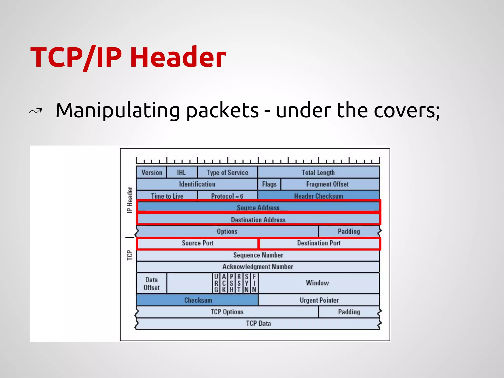 TCP/IP Header
↝ Manipulating packets - under the covers;
 