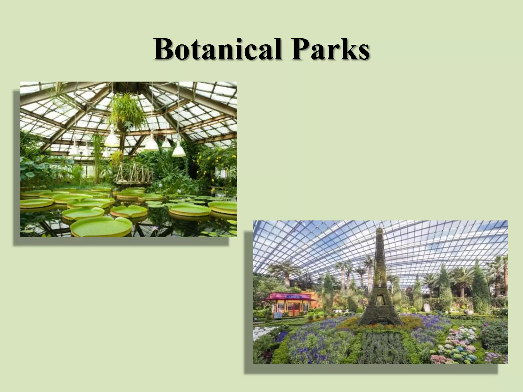 Botanical Parks
 