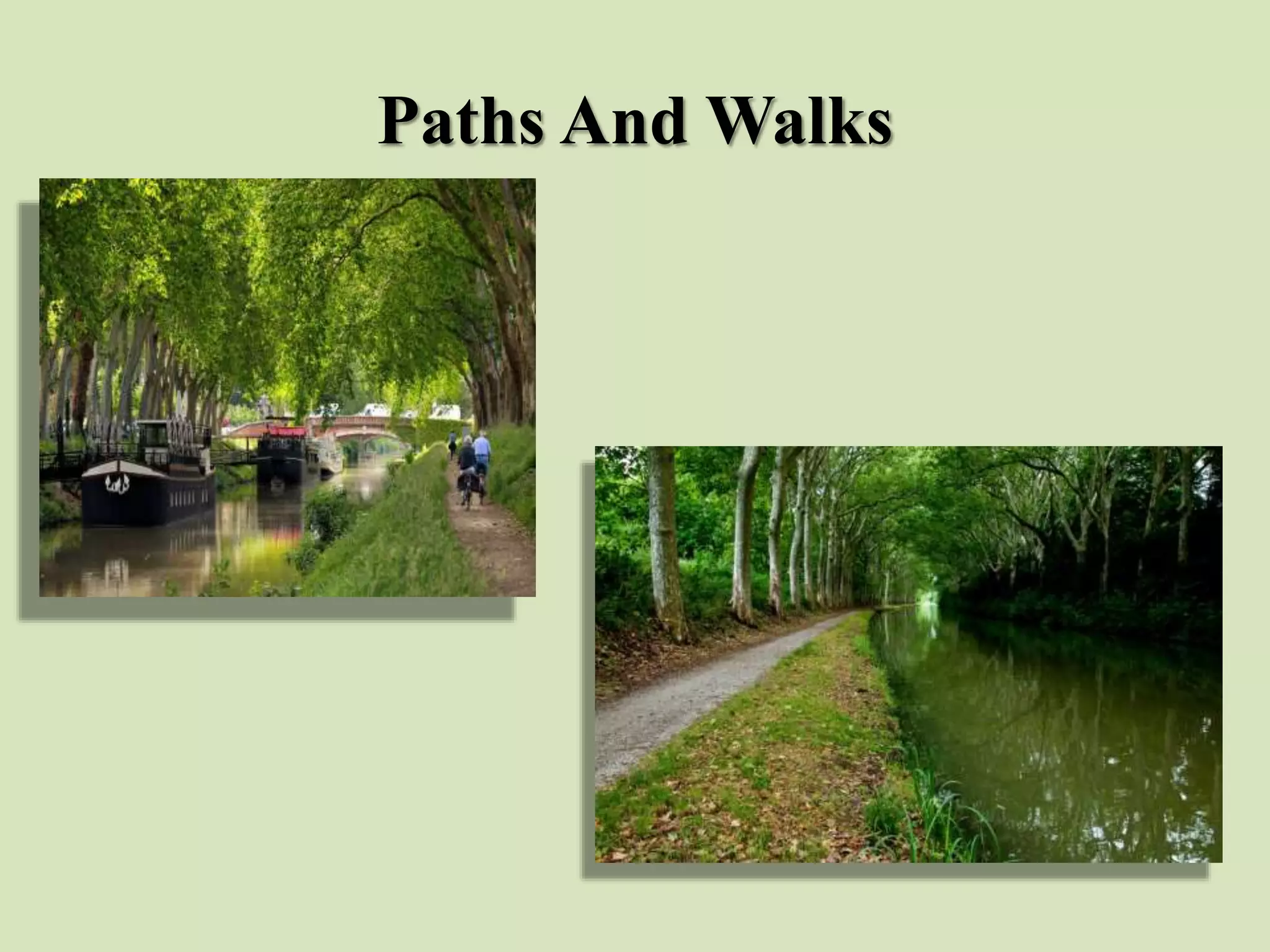 Paths And Walks
 