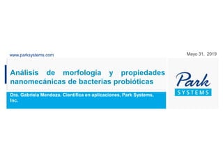 www.parksystems.com
Análisis de morfología y propiedades
nanomecánicas de bacterias probióticas
Dra. Gabriela Mendoza. Cientifica en aplicaciones, Park Systems,
Inc.
Mayo 31, 2019
 