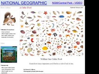 NATIONAL GEOGRAPHIC   NGM/Central Park - VIDEO
 