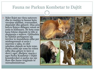 Fauna ne Parkun Kombetar te Dajtit
 Nder llojet me vlera natyrore

dhe te ruajtjes te faunes ketu
vecojme amfibet, zvarraniket,
shpendet dhe gjitaret. Disa prej
ketyre llojeve shfaqen vetem ne
zona te kufizuara. Ne kete zone
kane folene shpende te tille si
shqiponja e maleve. Gjithashtu
ky habitat perfaqeson nje
territor te mundshem edhe per
mishngrenesit si arriu i
murrme e ujku, te cilet
ndeshen shpesh ne kete zone.
Parku eshte nje zone ku rriten
edhe disa gjitare te tjere si
derri i eger, dhelpra, macja e
eger Parku Kombetar i Dajtit
konsiderohet si parku me nje
flore dhe faune origjinale te
mireadministruar.

 