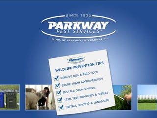 Parkway Pest Services Wildlife Tips