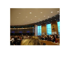 parlamento Europeo 2010 11