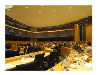 parlamento Europeo 2010 11