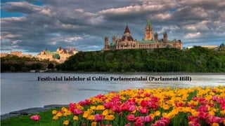 Festivalul lalelelor si Colina Parlamentului (Parlament Hill)
 