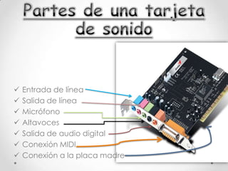 Salida de audio digital