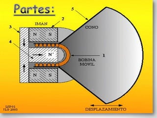 Parlantes Profesional Tarjeta de sonido 