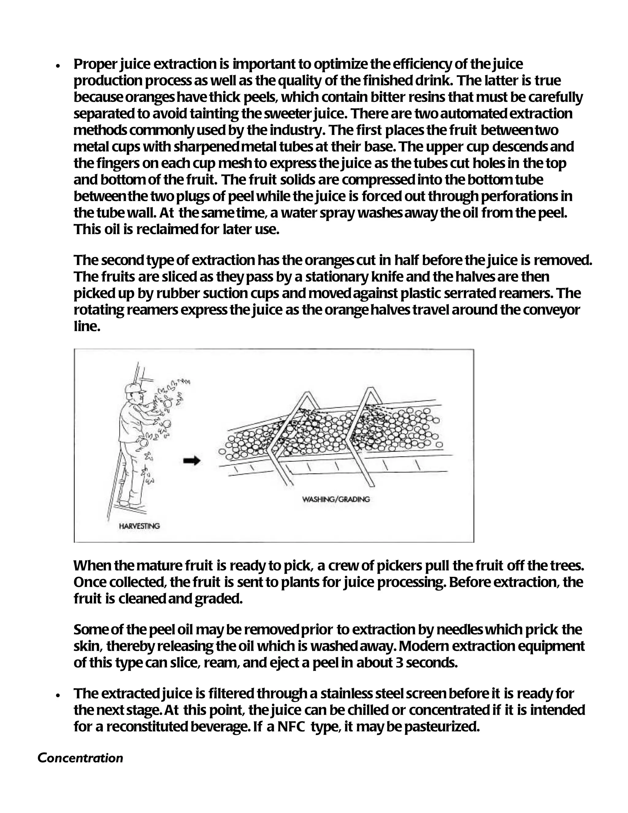 •   Proper juice extraction is important to optimize the efficiency of the juice
      production process as well as the quality of the finished drink. The latter is true
      because oranges have thick peels, which contain bitter resins that must be carefully
      separated to avoid tainting the sweeter juice. There are two automated extraction
      methods commonly used by the industry. The first places the fruit between two
      metal cups with sharpened metal tubes at their base. The upper cup descends and
      the fingers on each cup mesh to express the juice as the tubes cut holes in the top
      and bottom of the fruit. The fruit solids are compressed into the bottom tube
      between the two plugs of peel while the juice is forced out through perforations in
      the tube wall. At the same time, a water spray washes away the oil from the peel.
      This oil is reclaimed for later use.

      The second type of extraction has the oranges cut in half before the juice is removed.
      The fruits are sliced as they pass by a stationary knife and the halves are then
      picked up by rubber suction cups and moved against plastic serrated reamers. The
      rotating reamers express the juice as the orange halves travel around the conveyor
      line.




      When the mature fruit is ready to pick, a crew of pickers pull the fruit off the trees.
      Once collected, the fruit is sent to plants for juice processing. Before extraction, the
      fruit is cleaned and graded.

      Some of the peel oil may be removed prior to extraction by needles which prick the
      skin, thereby releasing the oil which is washed away. Modern extraction equipment
      of this type can slice, ream, and eject a peel in about 3 seconds.

  •   The extracted juice is filtered through a stainless steel screen before it is ready for
      the next stage. At this point, the juice can be chilled or concentrated if it is intended
      for a reconstituted beverage. If a NFC type, it may be pasteurized.

Concentration
 