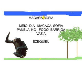 MACACA SOFIA

 MEIO DIA MACACA SOFIA
PANELA NO FOGO BARRIGA
          VAZIA.

       EZEQUIEL
 