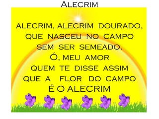 Alecrim

alecrim, alecrim dourado,
  que nasceu no campo
    sem ser semeado.
       Ó, meu amor
   quem te disse assim
 que a flor do campo
      É O ALECRIM
 