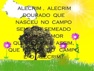 alecrim , alecrim
    dourado que
  nasceu no campo
  sem ser semeado
     ó ,meu amor
 que te disse assim,
que a flor do campo
     é o alecrim?
 