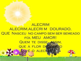 ALECRIM
   ALECRIM,ALECRI M DOURADO,
QUE Nasceu no campo sem ser semeado
         foi, MEU AMOR!
       Quem te disse assim,
       que a flor do campo
           é o alecrim?
 