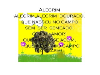 Alecrim
alecrim,alecrim dourado,
  que nasceu no campo
    sem ser semeado.
      ó meu amor!
   quem te disse assim,
   que a flor do campo
       É O ALECRIM?
 