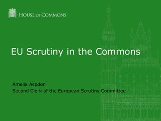 EU Scrutiny in the Commons
Amelia Aspden
Second Clerk of the European Scrutiny Committee
 