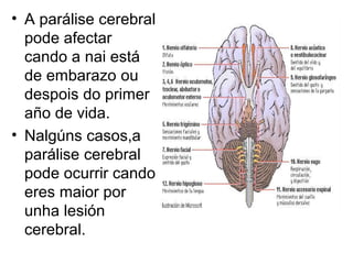 • A parálise cerebral
pode afectar
cando a nai está
de embarazo ou
despois do primer
año de vida.
• Nalgúns casos,a
parálise cerebral
pode ocurrir cando
eres maior por
unha lesión
cerebral.
 