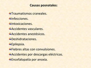 Causas posnatales: Traumatismos craneales. Infecciones. Intoxicaciones. Accidentes vasculares. Accidentes anestésicos. Deshidrataciones. Epilepsia. Fiebres altas con convulsiones. Accidentes por descargas eléctricas. Encefalopatía por anoxia. 